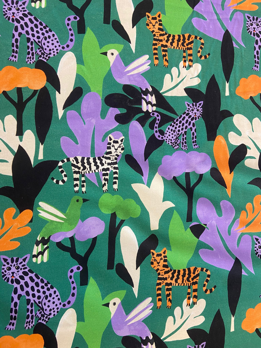 Coupon Molleton Oscar vert