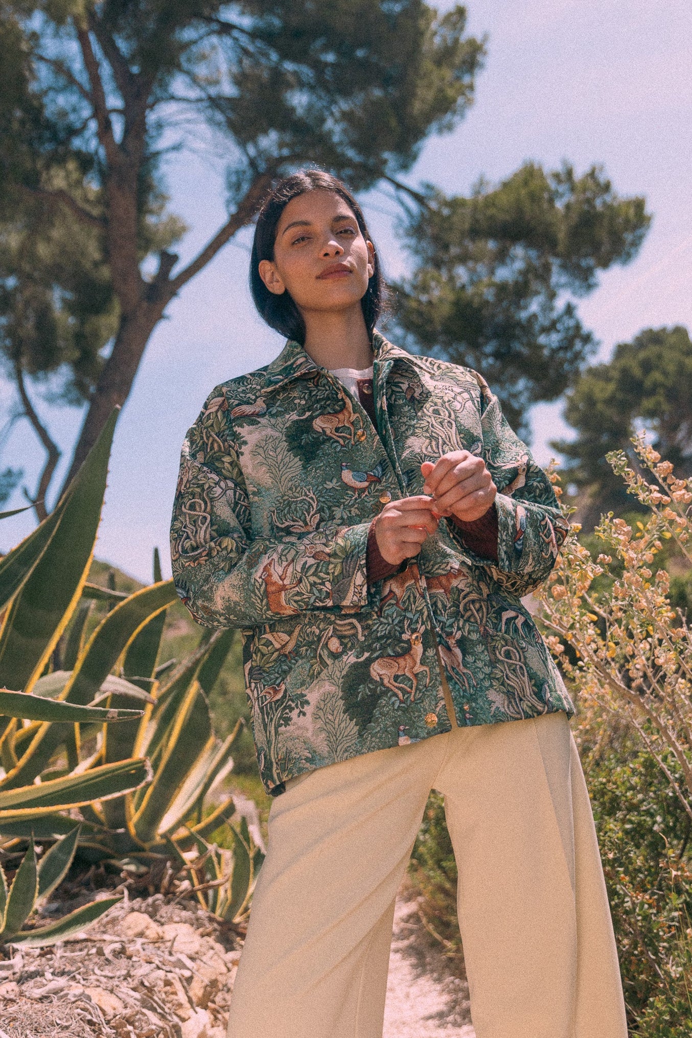 Veste Teddy Brocéliandre