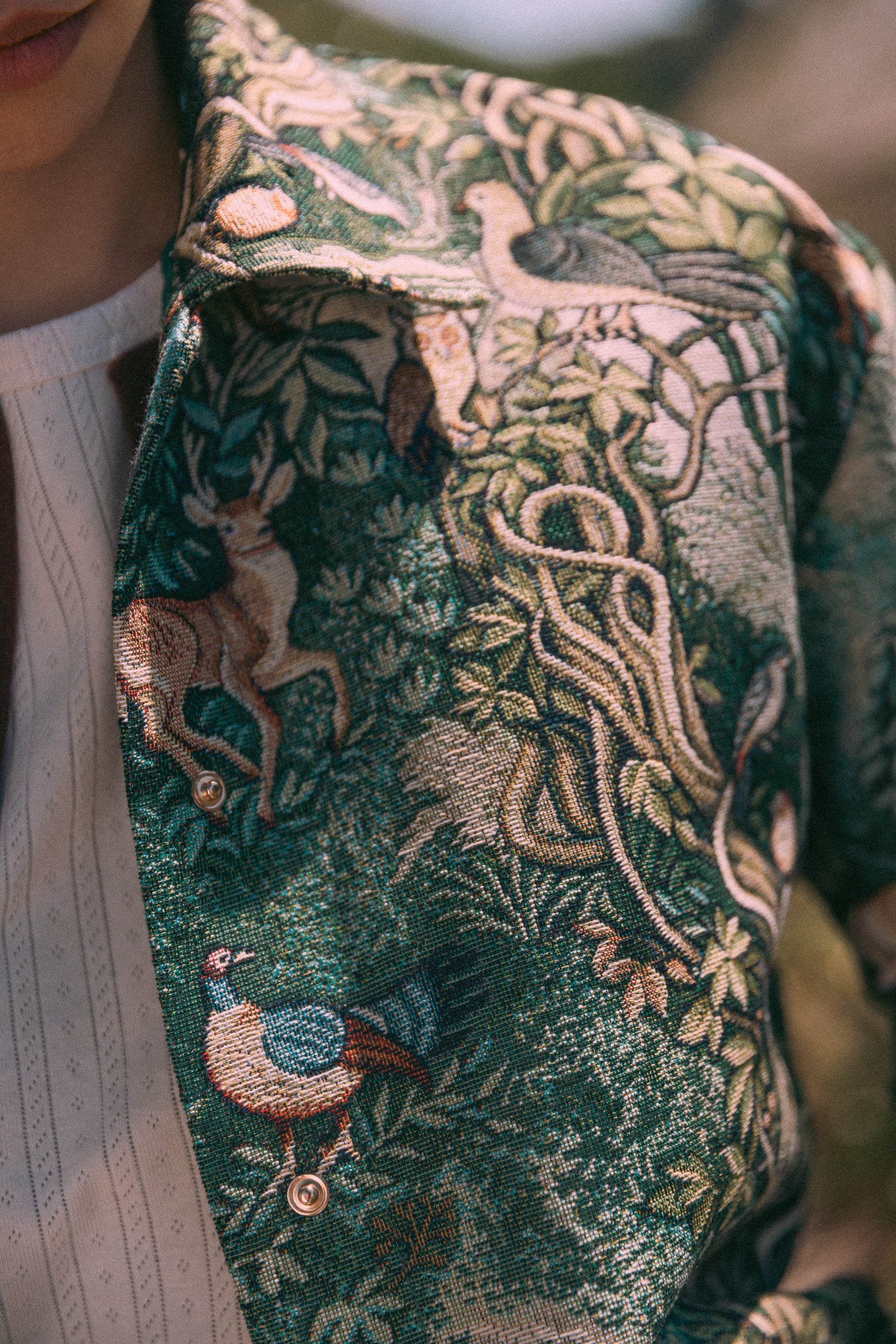 Veste Teddy Brocéliandre