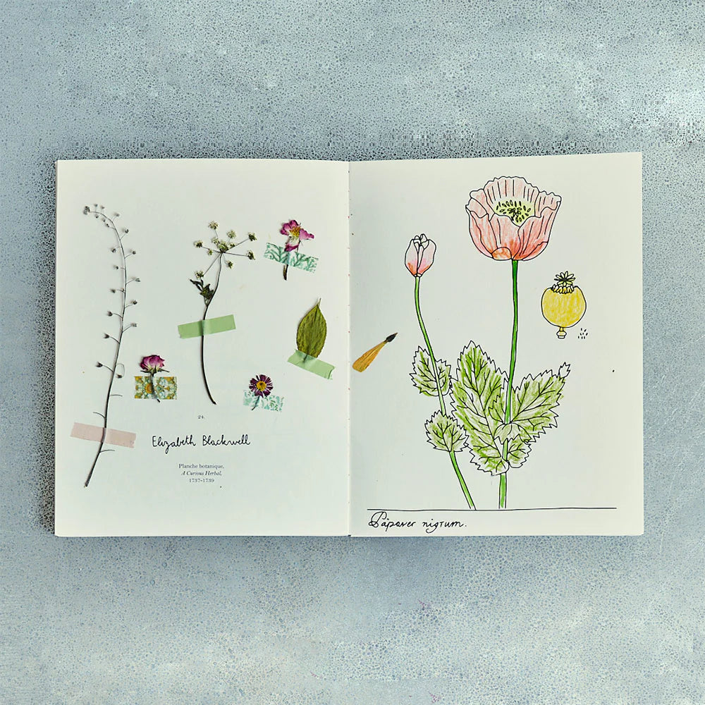 Livre - Fleurs de Zoé de las Cases